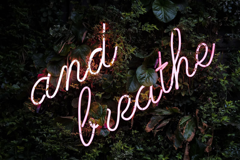 Neon lights reading “And Breathe” against a plant wall.
