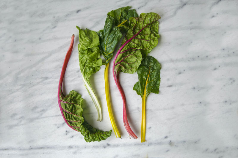 Colorful chard leaves on a white counter.